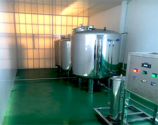 2吨/时纯净水设备